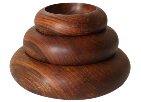 �L�������T�`�f�u�̖؂̊�V���[�Y�C���[�W