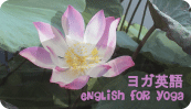 yoga-eigo-banner.web